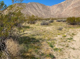 IMG_0183.jpg IMG_0183.jpg