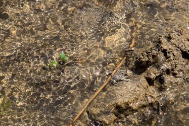 IMG_0191.jpg IMG_0191.jpg