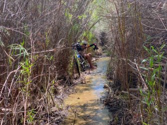 IMG_0201.jpg IMG_0201.jpg