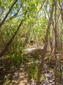 DSCN0310.jpg DSCN0310.jpg