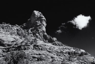 RCM07546-2021 Wanderings 2021-210418-67.jpg