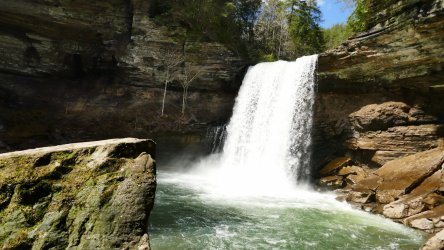 1060134.jpg 1060134.jpg