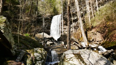 1060195.jpg 1060195.jpg