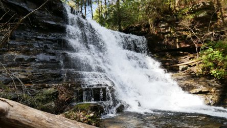 1060198.jpg 1060198.jpg