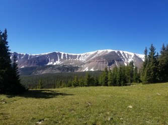 20200623_094742.jpg 20200623_094742.jpg