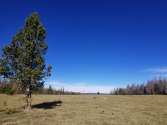 20200624_085840.jpg 20200624_085840.jpg