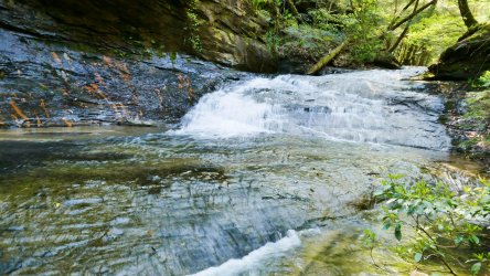 20210505_084850.jpg 20210505_084850.jpg