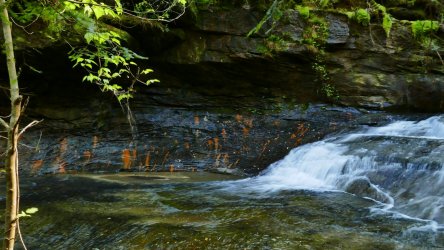 1060326.jpg 1060326.jpg