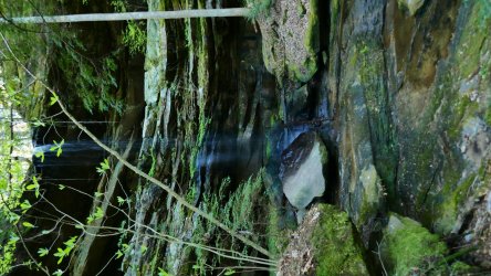 1060429.jpg 1060429.jpg