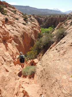 DSCN1090.jpg DSCN1090.jpg