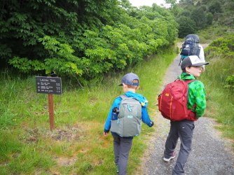 P4250487.JPG P4250487.JPG