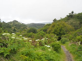 P4250496.JPG P4250496.JPG