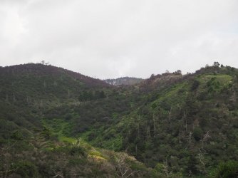 P4250512.JPG P4250512.JPG