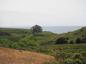 P4250519.JPG P4250519.JPG