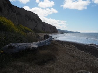 P4250670.JPG P4250670.JPG