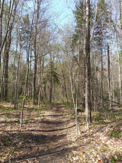 0CCE8532-CBF4-4CAA-8F35-9C3C46EA8CEA.jpeg 0CCE8532-CBF4-4CAA-8F35-9C3C46EA8CEA.jpeg