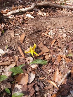 DFEA8053-BAF0-4C3C-9D9D-A68974EA3D8F.jpeg DFEA8053-BAF0-4C3C-9D9D-A68974EA3D8F.jpeg