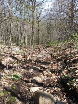 497AD111-6E55-439A-A719-448CA4A26A5E.jpeg 497AD111-6E55-439A-A719-448CA4A26A5E.jpeg