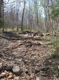 7876131B-E109-4002-94A7-7D794A971B5F.jpeg 7876131B-E109-4002-94A7-7D794A971B5F.jpeg