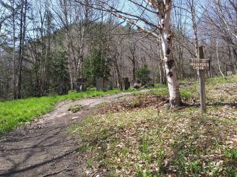 4BE78FC3-82AA-4030-A913-5F7A266EE3C4.jpeg 4BE78FC3-82AA-4030-A913-5F7A266EE3C4.jpeg