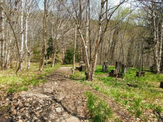 5397C667-07E1-45B4-B56C-4589DBB36E29.jpeg 5397C667-07E1-45B4-B56C-4589DBB36E29.jpeg