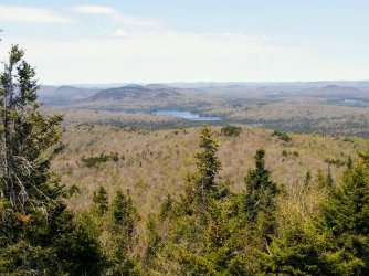 1F910BAD-881F-4C1F-BB51-295354BC7182.jpeg 1F910BAD-881F-4C1F-BB51-295354BC7182.jpeg