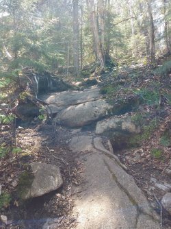 CAADD285-135B-4330-8054-E1B5BF70C3C0.jpeg CAADD285-135B-4330-8054-E1B5BF70C3C0.jpeg