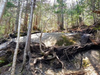 4CBDE064-A1E1-4706-9352-B6C15C832DE7.jpeg 4CBDE064-A1E1-4706-9352-B6C15C832DE7.jpeg