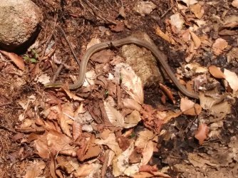 46E33EB3-0F5A-4DE2-A09D-A4C9AAAC6E0E.jpeg 46E33EB3-0F5A-4DE2-A09D-A4C9AAAC6E0E.jpeg