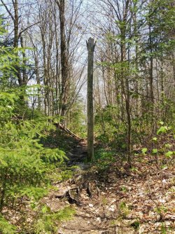 58E5CACF-BA7A-4631-B1FB-FFCD1D96CC7F.jpeg 58E5CACF-BA7A-4631-B1FB-FFCD1D96CC7F.jpeg