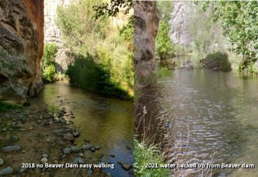 Escalante compare.jpg Escalante compare.jpg