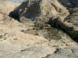 IMG_20180630_084344716 - Copy.jpg IMG_20180630_084344716 - Copy.jpg