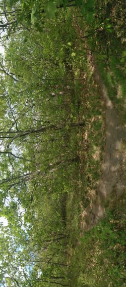 20210523_093519.jpg 20210523_093519.jpg