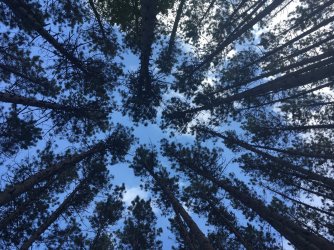 IMG_4148.JPG IMG_4148.JPG