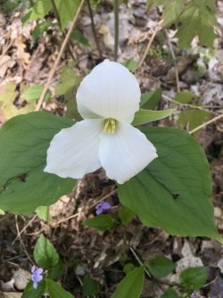 fullsizeoutput_2582.jpeg fullsizeoutput_2582.jpeg