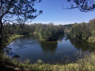 fullsizeoutput_2585.jpeg fullsizeoutput_2585.jpeg