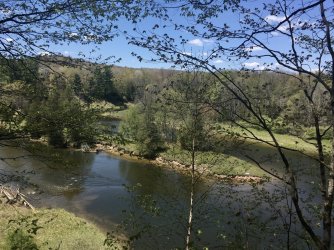 fullsizeoutput_259e.jpeg fullsizeoutput_259e.jpeg