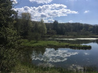 fullsizeoutput_259f.jpeg fullsizeoutput_259f.jpeg