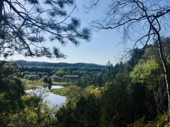 IMG_4250.JPG IMG_4250.JPG