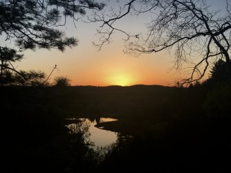 fullsizeoutput_25a0.jpeg fullsizeoutput_25a0.jpeg