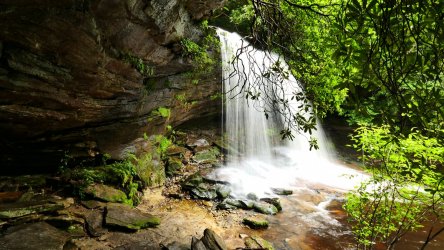 1060542.jpg 1060542.jpg