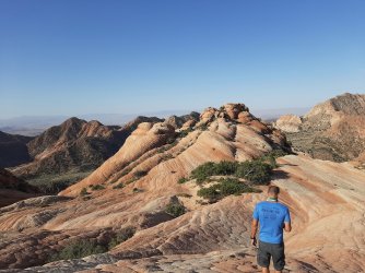 Yant Flat, Cottonwood Wilderness