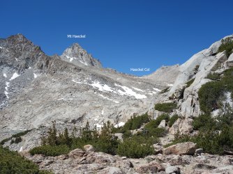 First glimpse of Evolution Range and Haeckel Col