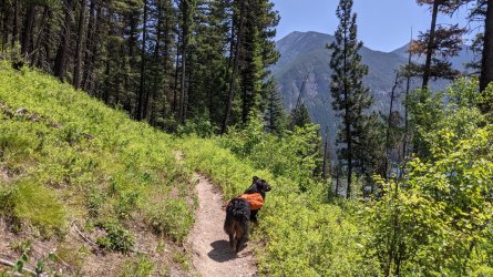 PXL_20210704_190028988.jpg PXL_20210704_190028988.jpg