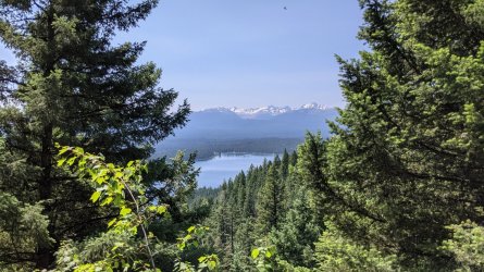 PXL_20210704_194514666.MP.jpg PXL_20210704_194514666.MP.jpg