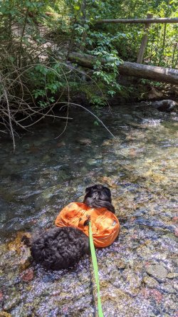 PXL_20210704_201601035.jpg PXL_20210704_201601035.jpg