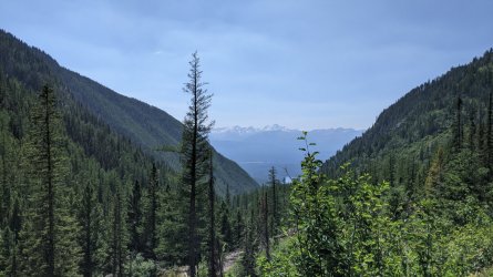 PXL_20210704_214215897.jpg PXL_20210704_214215897.jpg