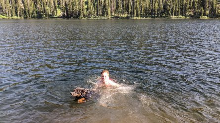 PXL_20210704_231834588.MP.jpg PXL_20210704_231834588.MP.jpg