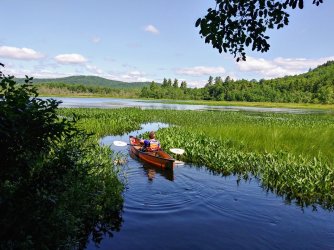 522E5DEF-8EF1-490A-A228-8CFA8CAC4950.jpeg 522E5DEF-8EF1-490A-A228-8CFA8CAC4950.jpeg