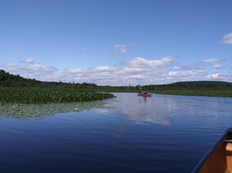 11745B7D-C952-4149-9148-A7BD1194938A.jpeg 11745B7D-C952-4149-9148-A7BD1194938A.jpeg